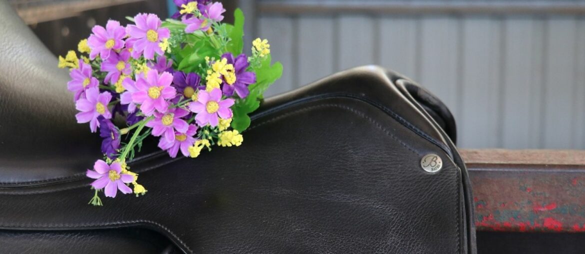 Spring cleaning your tack room