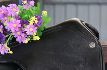 Spring cleaning your tack room