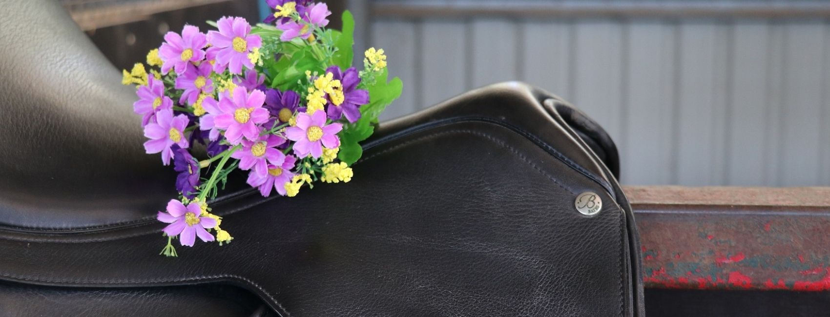 Spring clean the tack room – are you ready for spring and summer?