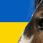 ‘British Equestrians for Ukraine’ launched to aid developing equine crisis