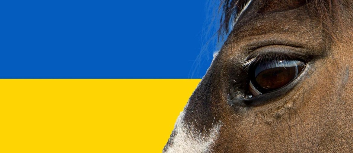 ‘British Equestrians for Ukraine’ launched to aid developing equine crisis
