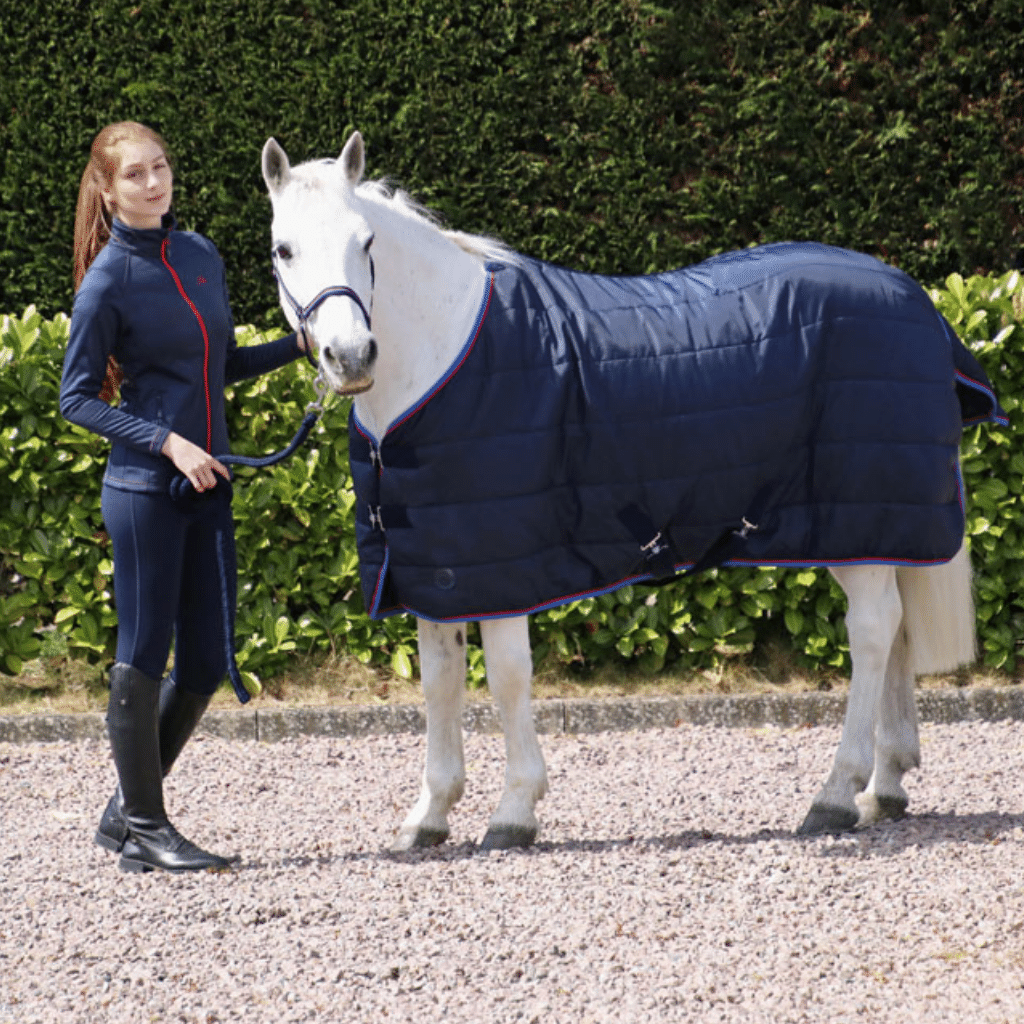 What rugs do you need for your horse? RB Equestrian Blog