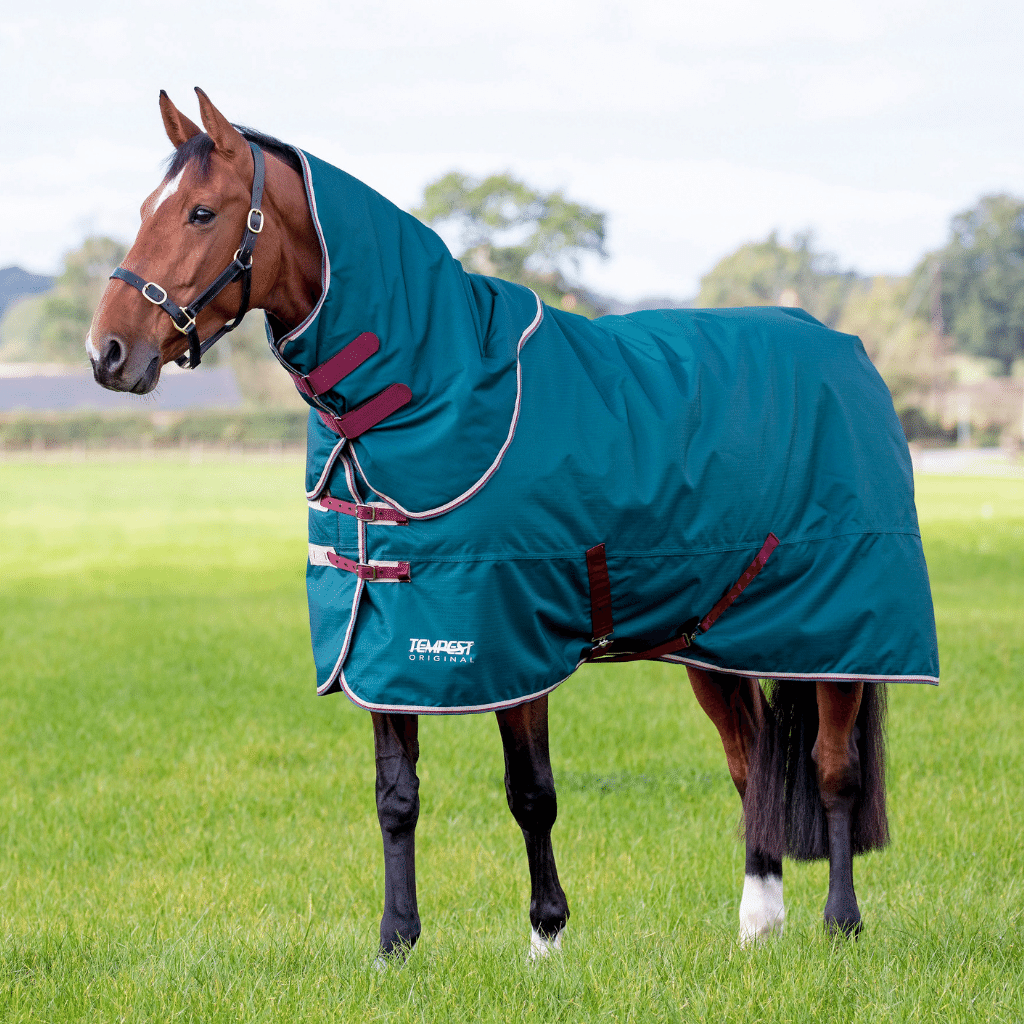 What rugs do you need for your horse? RB Equestrian Blog