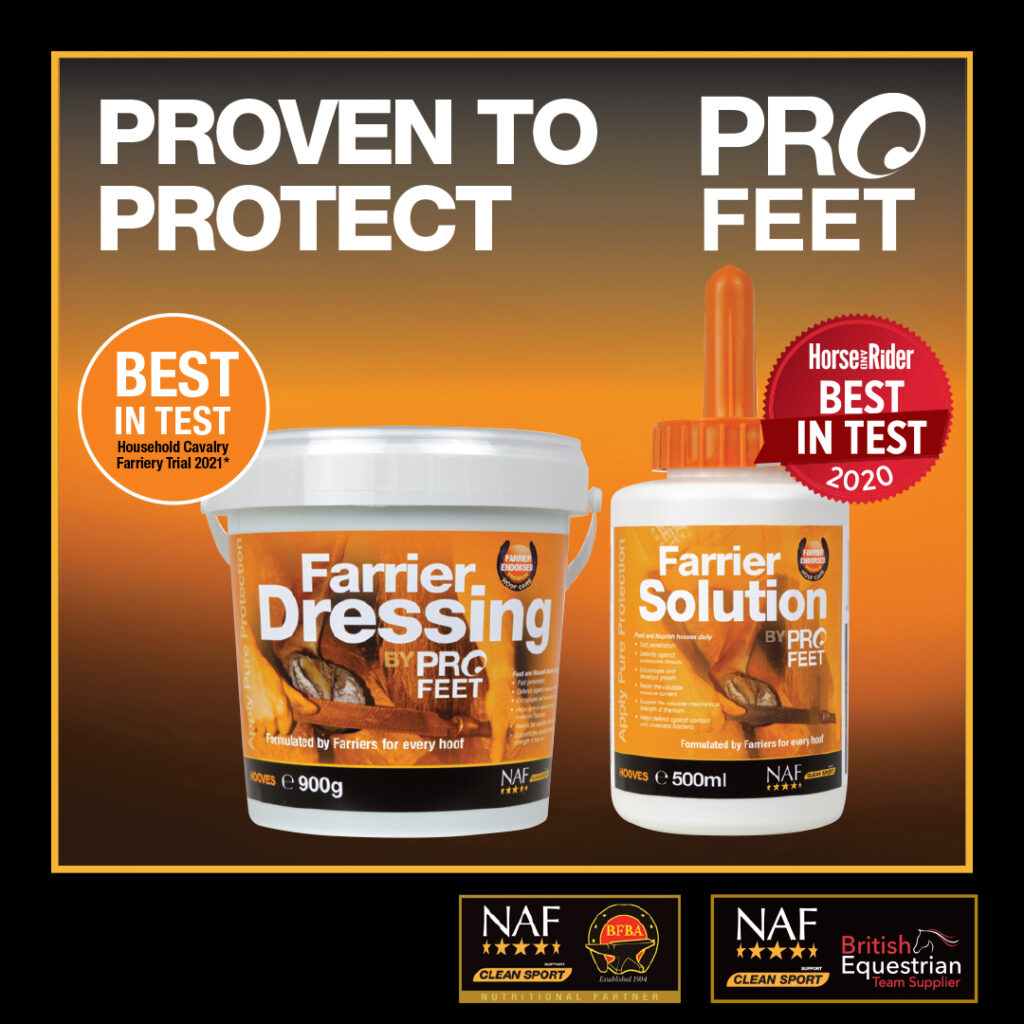 NAF ProFeet Farrier Dressing from RB Equestrian