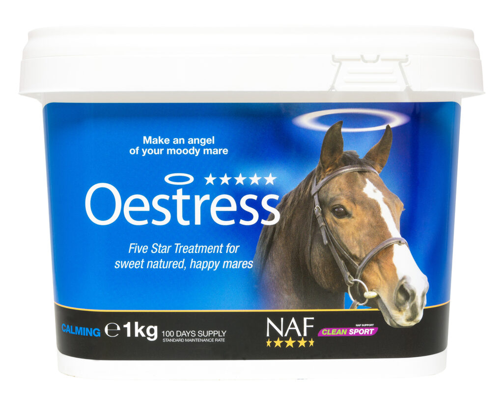 NAF 5 Star Oestress at RB Equestrian