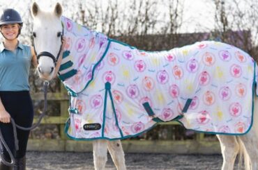 StormX Original All Rounder Thelwell Collection Fly Rug from RB Equestrian