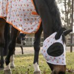 How to choose a fly rug for your horse