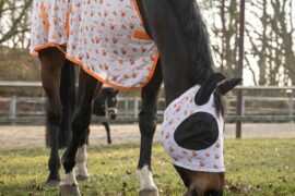 A horse wearing a fly rug and fly hood grazing