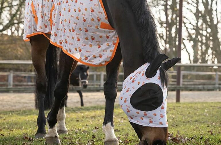 A horse wearing a fly rug and fly hood grazing