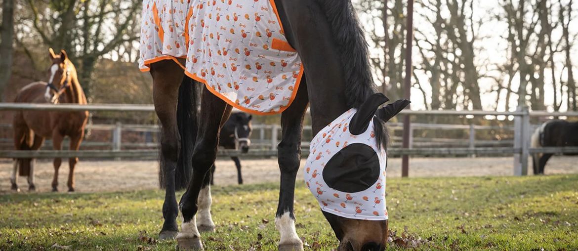 How to choose a fly rug for your horse