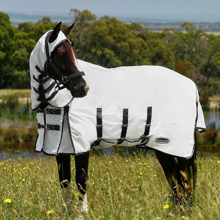A horse wearing a Weatherbeeta ComFiTec Sweet Itch Shield Fly Sheet Combo