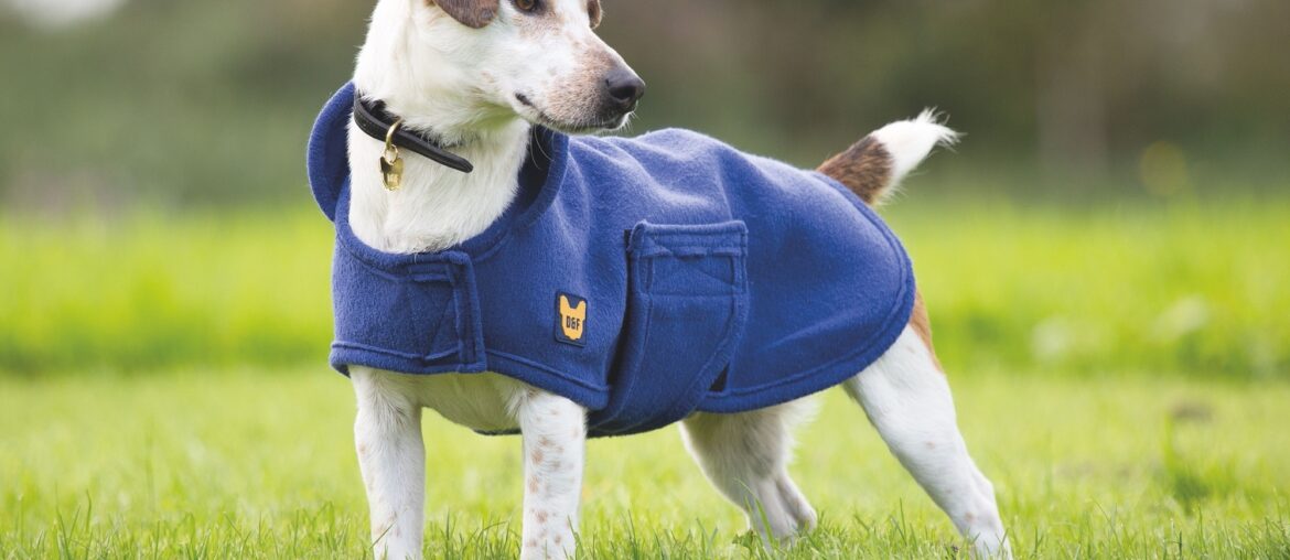 Dog coat from RB Equestrian