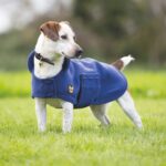 Dog coat from RB Equestrian