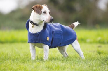 Dog coat from RB Equestrian