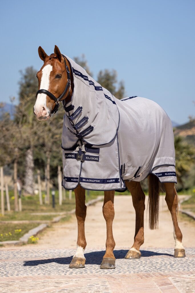 LeMieux Kudos Gladiator Fly Rug from RB Equestrian