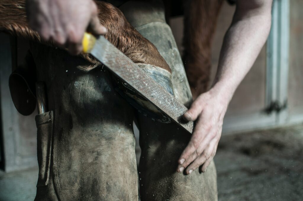 Farrier working on a horse hoof