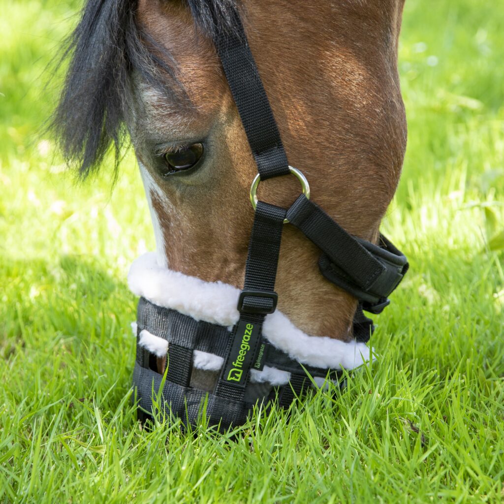 Grazing muzzle