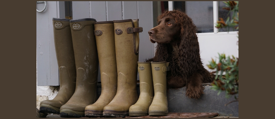 LeChameau wellington boots from RB Equestrian