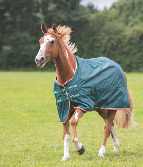 Shires Typhoon Lite 0g Turnout Rug in Green from RB Equestrian