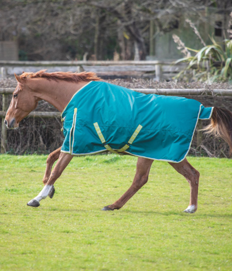 Bridleway Ontario 100g Turnout Rug from RB Equestrian