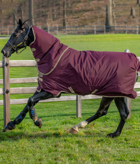 Horseware Amigo Hero 600D Ripstop 100g Plus Turnout Rug from RB Equestrian