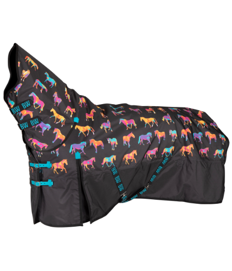 Bridleway 220g Ontario Turnout Combo Rug from RB Equestrian