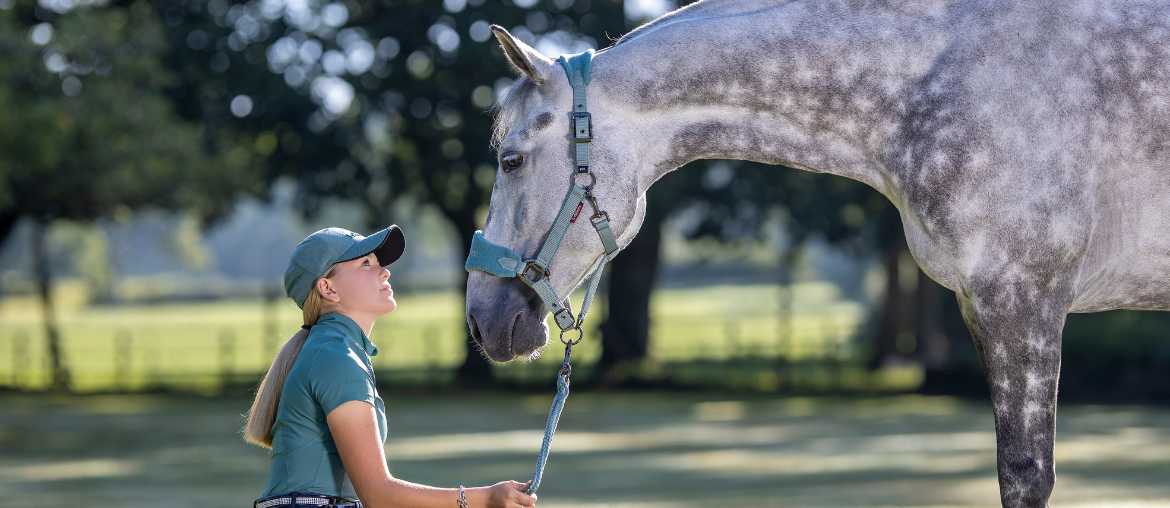 Headcollars: Jargon Buster