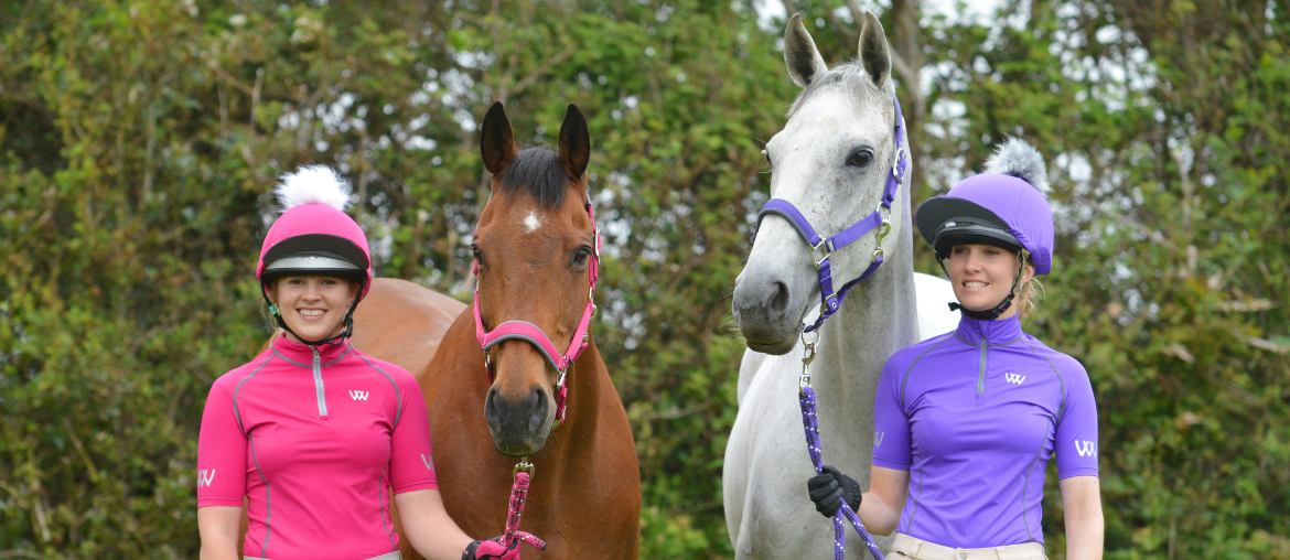 Choosing the best headcollar for your horse 