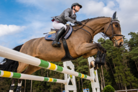 A show jumper riding a horse jumping over a fence