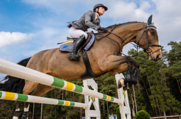 A show jumper riding a horse jumping over a fence