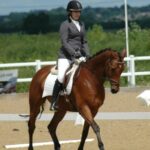 What to wear for Dressage Competitions