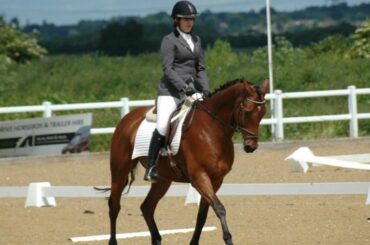 A rider in a dressage competition