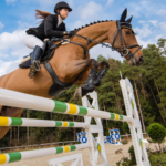 What to wear for Showjumping