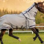 A guide to fly rugs & fly masks
