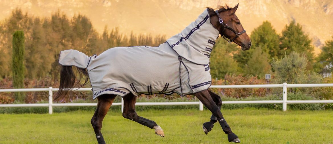 A guide to fly rugs & fly masks