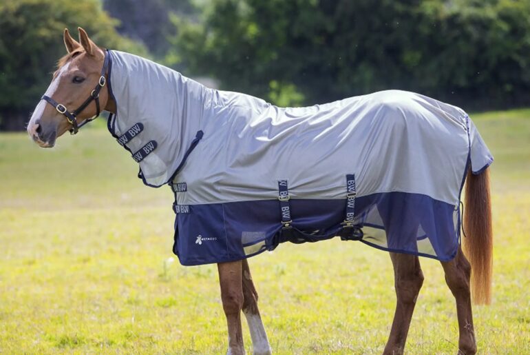 A horse wearing a Bridleway Metabug Fly Sheet