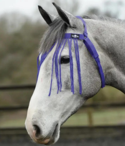 A grey horse wearing a Saxon Fly Fringe 