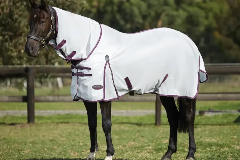 A horse wearing a Weatherbeeta Comfitec Mesh Horse Rug available at RB Equestrian