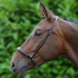 Hy Equestrian Padded Drop Noseband Horse wearing a drop noseband