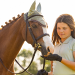 A young rider feeding her horse which is wearing a bridle