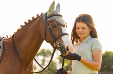 A young rider feeding her horse which is wearing a bridle