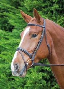 Velociti GARA Comfort Fit Bridle