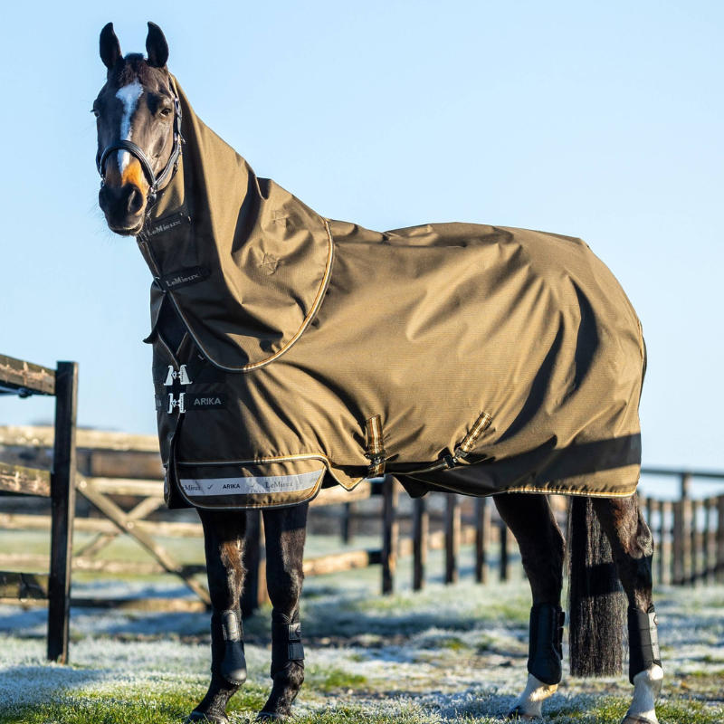 A horse wearing a LeMieux Arika Ripstop 100g Turnout Rug
