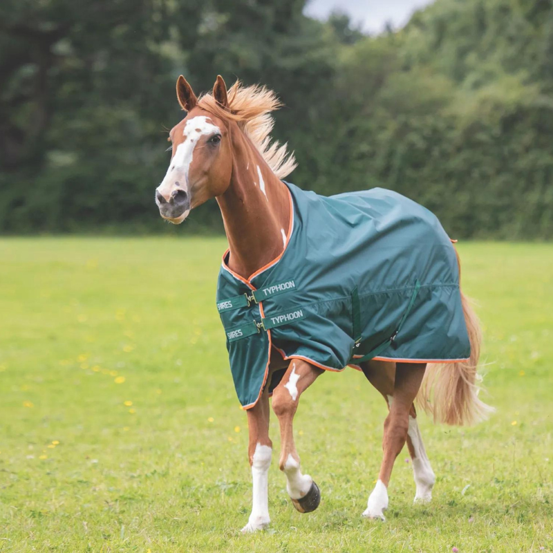 A horse in a Shires Typhoon Lite
