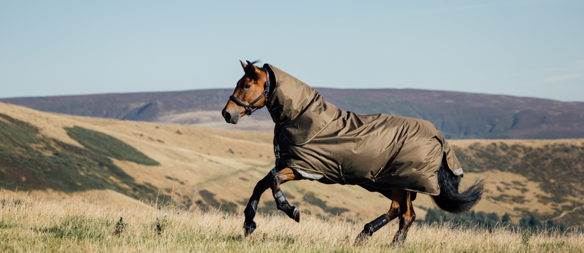 A horse in a LeMieux Alpine turnout rug