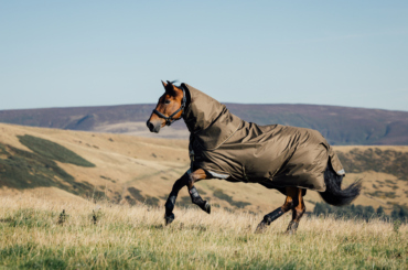 A horse in a LeMieux Alpine turnout rug