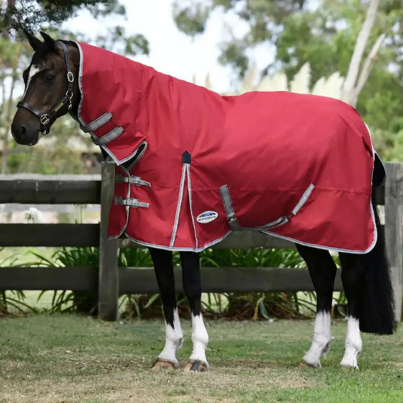 A horse wearing a Weatherbeeta ComFiTec Classic Combo 50g