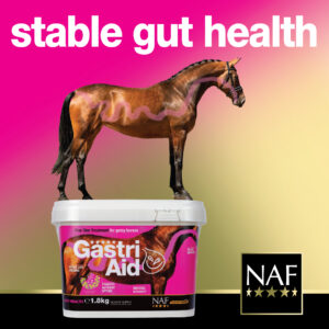 NAF GastriAid from RB Equestrian 