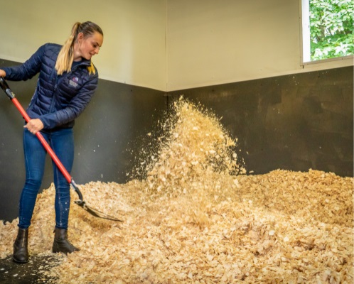 A woman prepares a bed for a horse