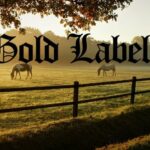 Celebrating Gold Label! Our Top 5